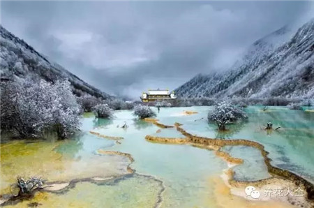 中國(guó)辣么美，外果仁都來(lái)了不想走