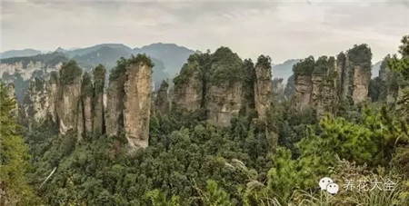 中國(guó)辣么美，外果仁都來(lái)了不想走