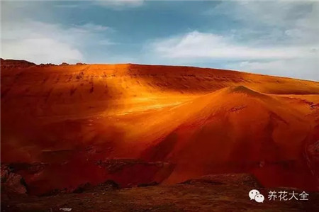 中國(guó)辣么美，外果仁都來(lái)了不想走
