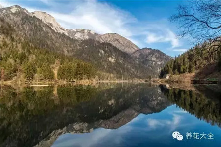 中國(guó)辣么美，外果仁都來(lái)了不想走