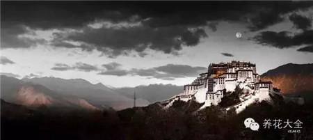 中國(guó)辣么美，外果仁都來(lái)了不想走