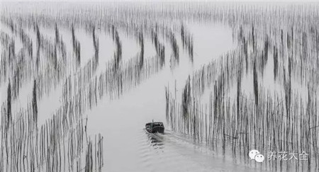 中國(guó)辣么美，外果仁都來(lái)了不想走