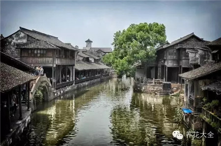 中國(guó)辣么美，外果仁都來(lái)了不想走