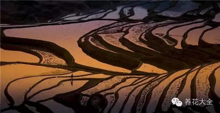 中國(guó)辣么美，外果仁都來(lái)了不想走