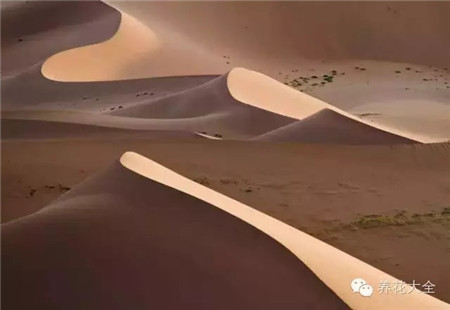 中國(guó)辣么美，外果仁都來(lái)了不想走