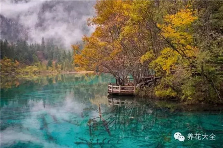 中國(guó)辣么美，外果仁都來(lái)了不想走