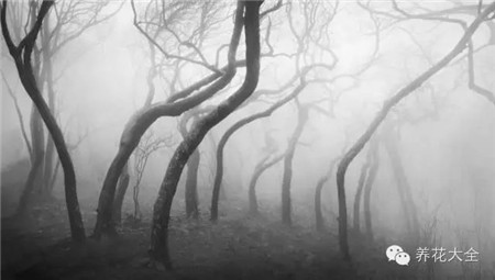 中國(guó)辣么美，外果仁都來(lái)了不想走