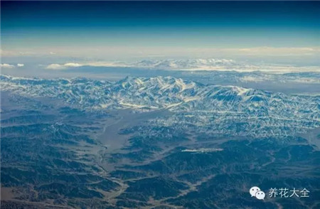 中國(guó)辣么美，外果仁都來(lái)了不想走