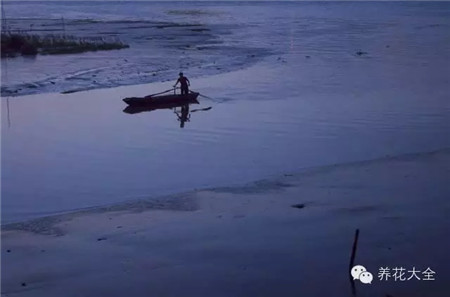 中國(guó)辣么美，外果仁都來(lái)了不想走