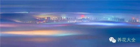 中國(guó)辣么美，外果仁都來(lái)了不想走