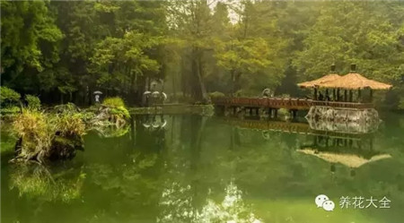 中國(guó)辣么美，外果仁都來(lái)了不想走