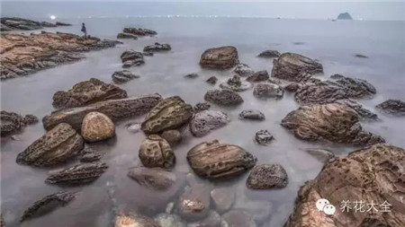 中國(guó)辣么美，外果仁都來(lái)了不想走