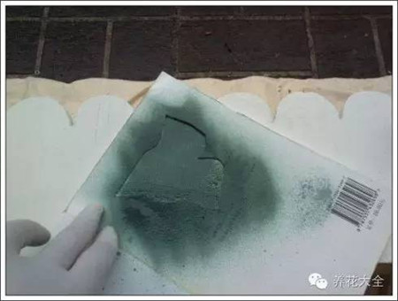 100%回頭率的陽臺花園,自己動手做一個