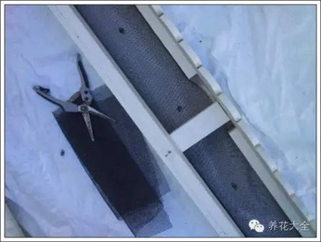 100%回頭率的陽臺花園,自己動手做一個