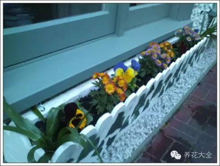 100%回頭率的陽臺花園,自己動手做一個