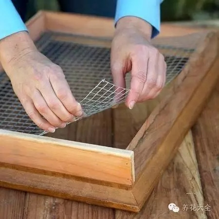 多肉墻體花園制作步驟四