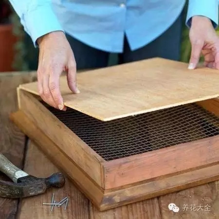 多肉墻體花園制作步驟五