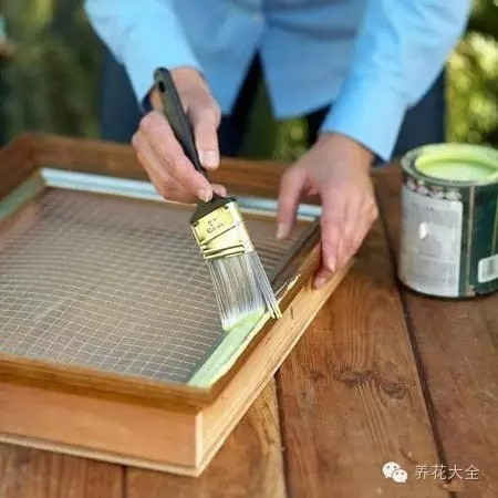 多肉墻體花園制作步驟六