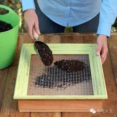 多肉墻體花園制作步驟七