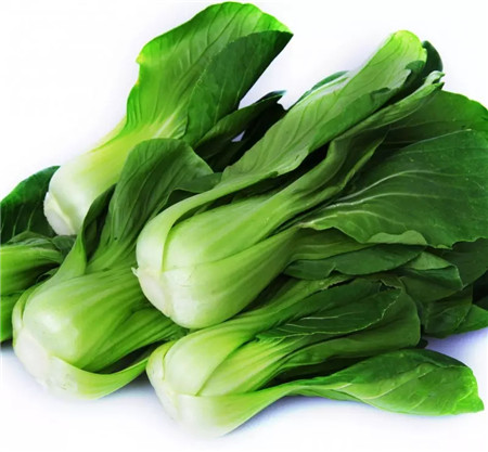 判斷長(zhǎng)短