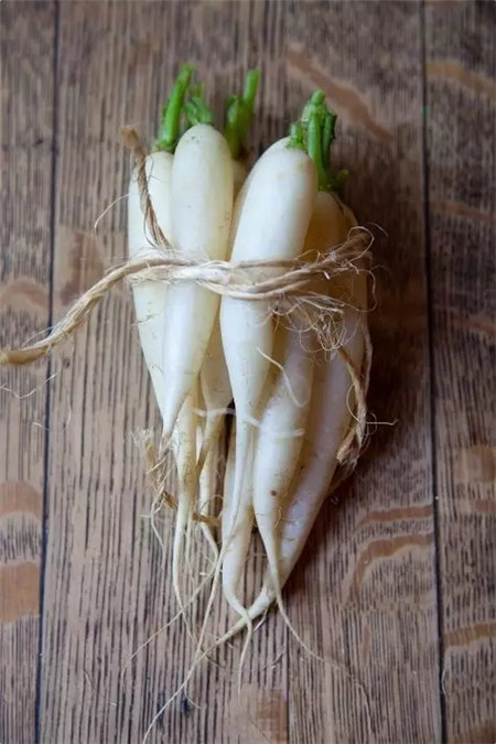 蘿卜的功效