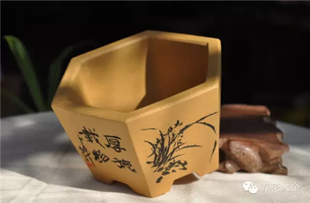 使用新盆前的技術(shù)處理