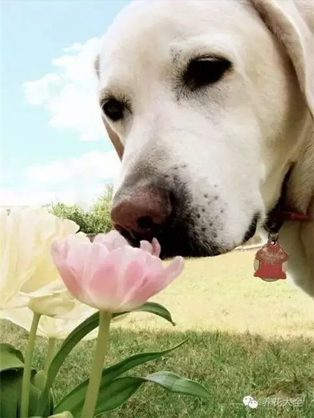 樓上哥們~同是天涯淪落人?。ㄒ迆~）！