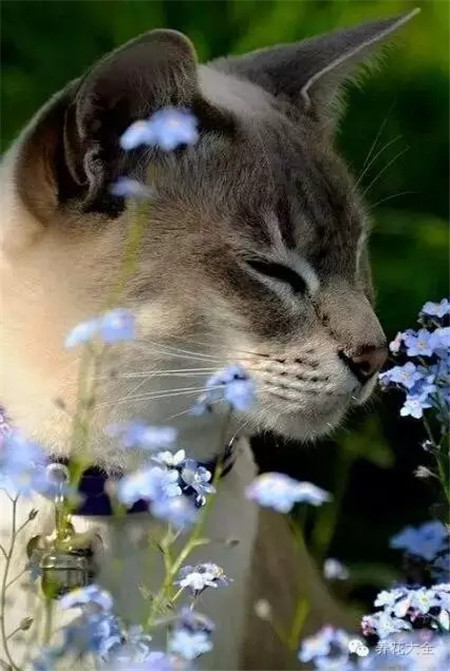 小樣~別以為我閉著眼不知道你在拍我~