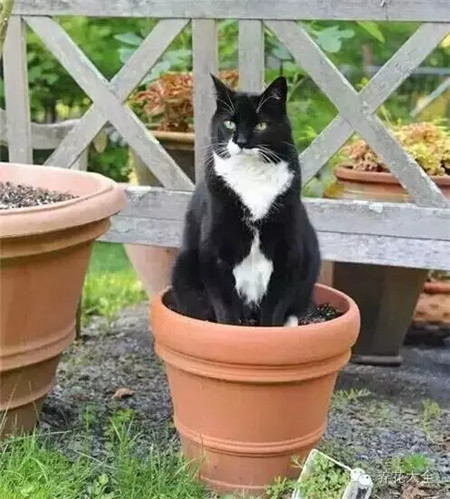 我的地盤我做主，就是這么霸氣！