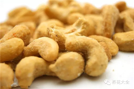 平時(shí)吃的腰果