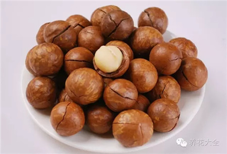 平時(shí)吃的澳洲堅(jiān)果