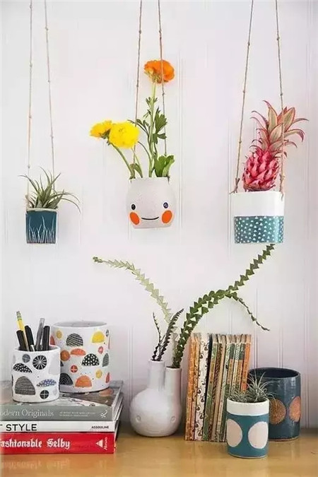 一盆“小可愛”