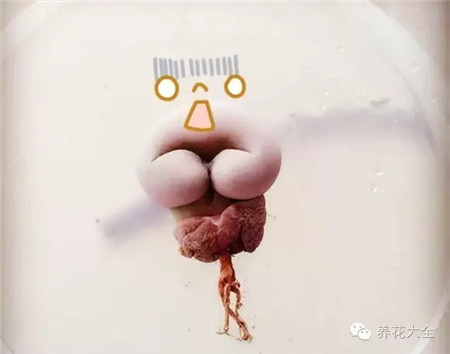 嗯～最近上火，便秘了！