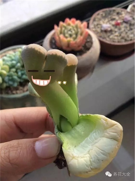 baby come on！一起動起來！