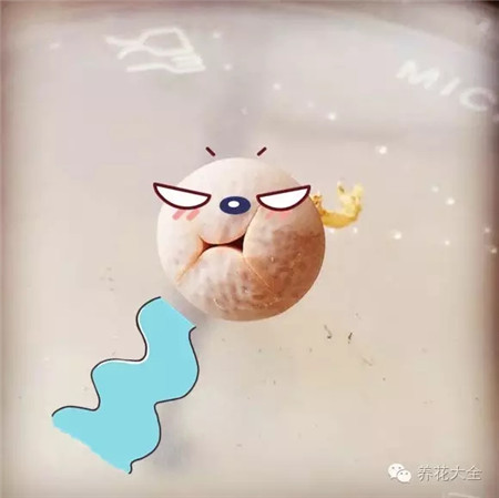 噗！臭不要臉，我要吐了！