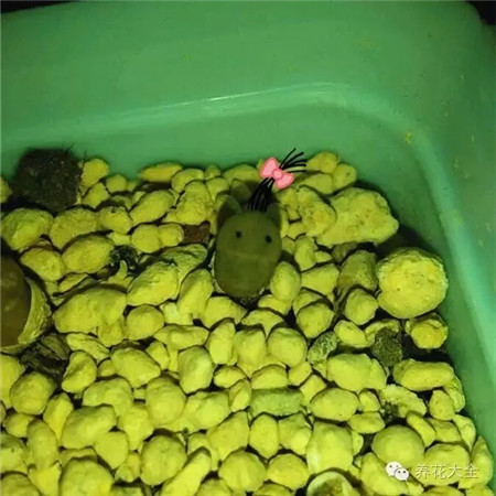 神馬？有外星人入侵？