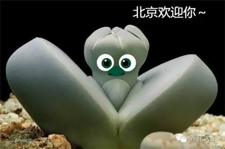 我家大門常打開，開放懷抱等你！