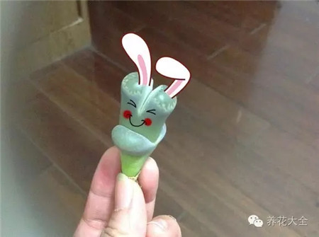 我是一只萌萌兔，呀比！