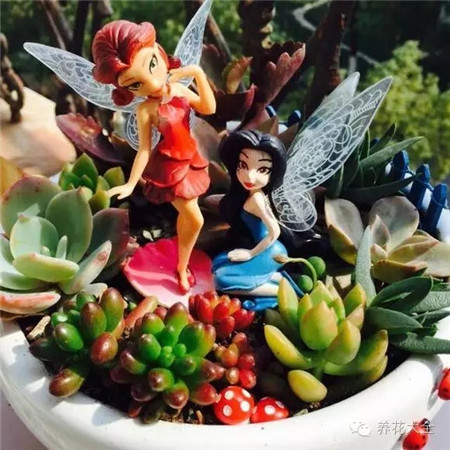 多肉造型——童話