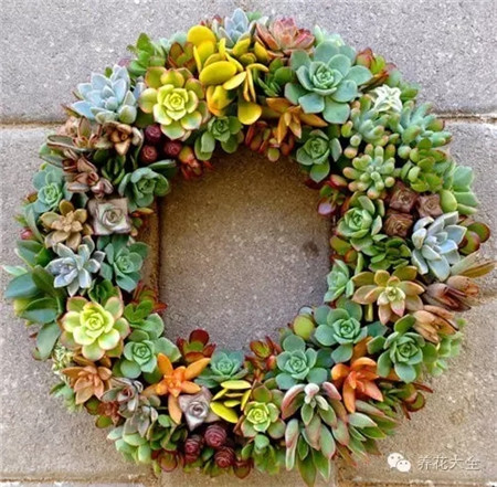 美麗的多肉婚禮