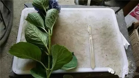 1、準(zhǔn)備材料