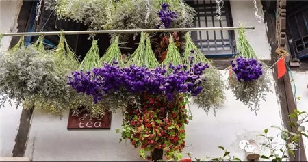 風(fēng)干法風(fēng)干鮮花