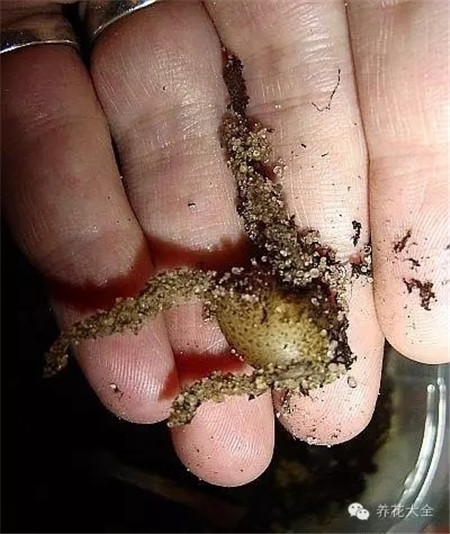 保持土壤濕潤(rùn)