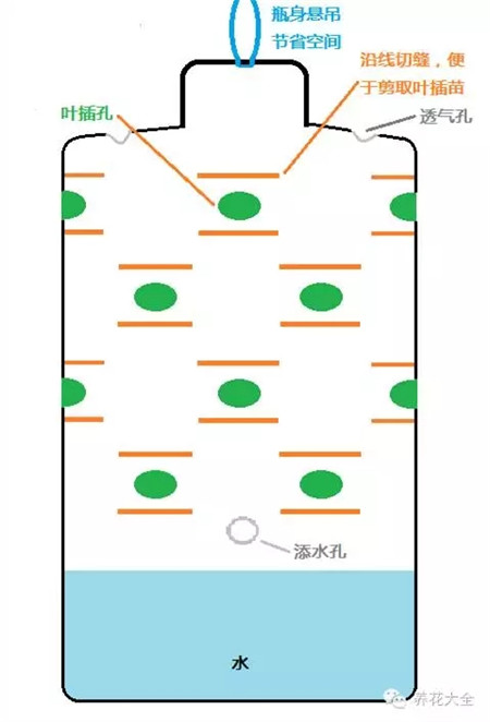 找一個礦泉水瓶