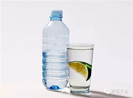 撿一個礦泉水瓶