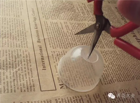 果凍殼底部畫出輪廓