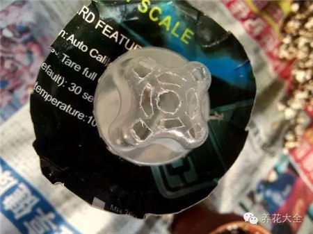 果凍殼外面套一個硬殼