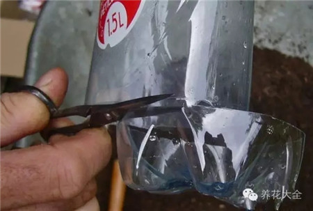 把礦泉水瓶的底部剪掉