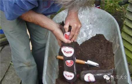 把塑料瓶倒著摞在一起