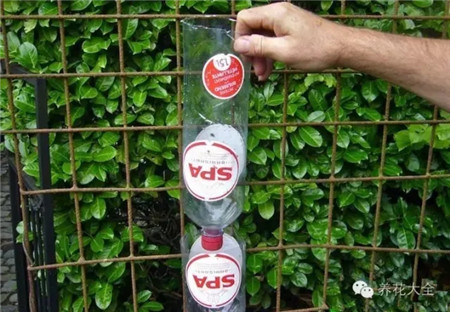 剪掉這個塑料瓶的底部